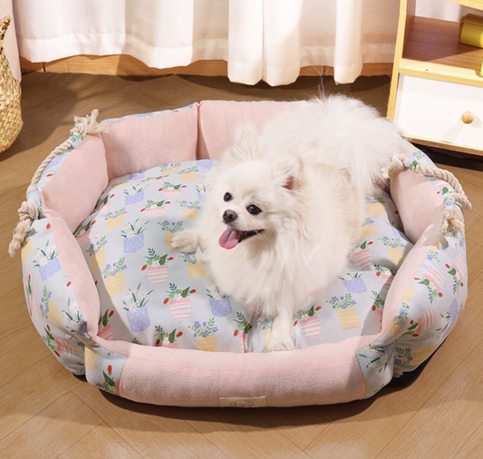 All Seasons Removable Cushion Pet Bed