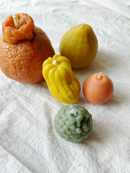 Le Jardin Agrumes Wax Candle Set
