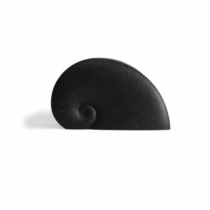 Nautilus Sculptural Tissue Holder