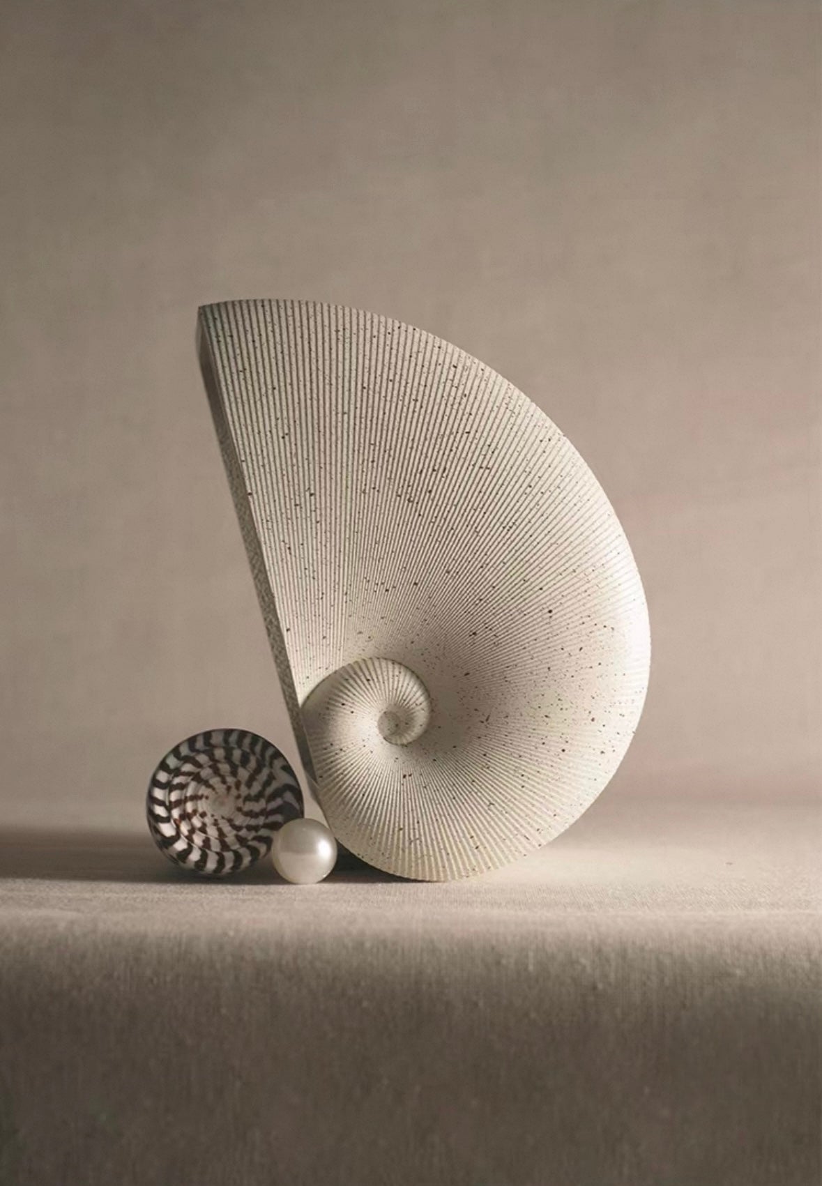 Nautilus Sculptural Tissue Holder