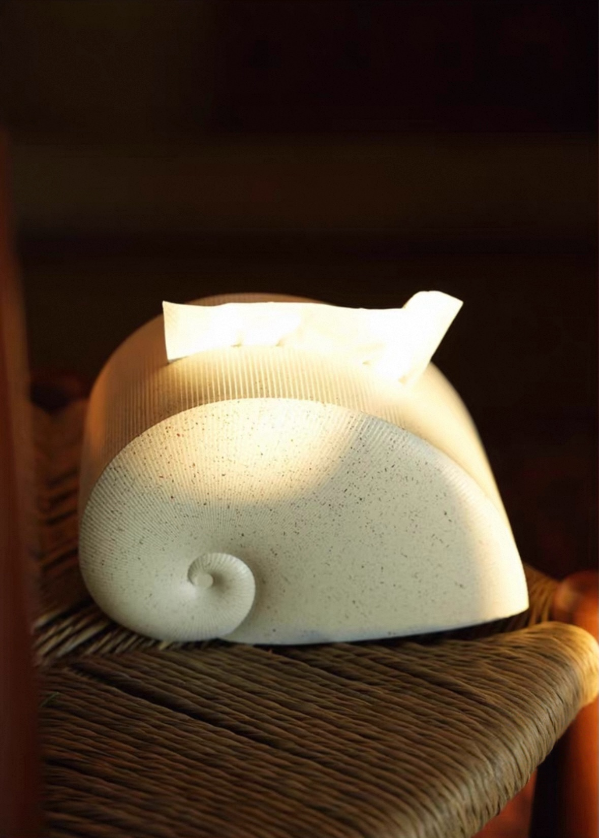 Nautilus Sculptural Tissue Holder