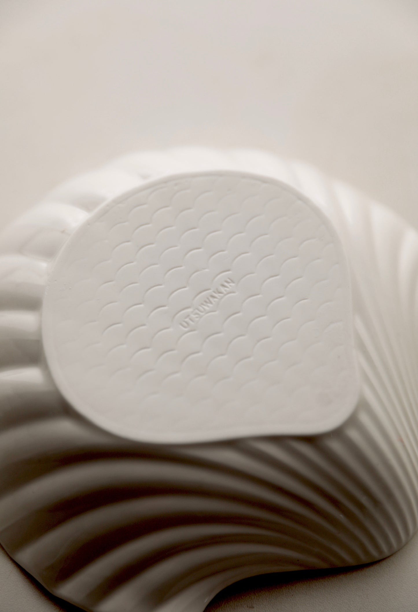 White Ceramic Shell Plate bottom