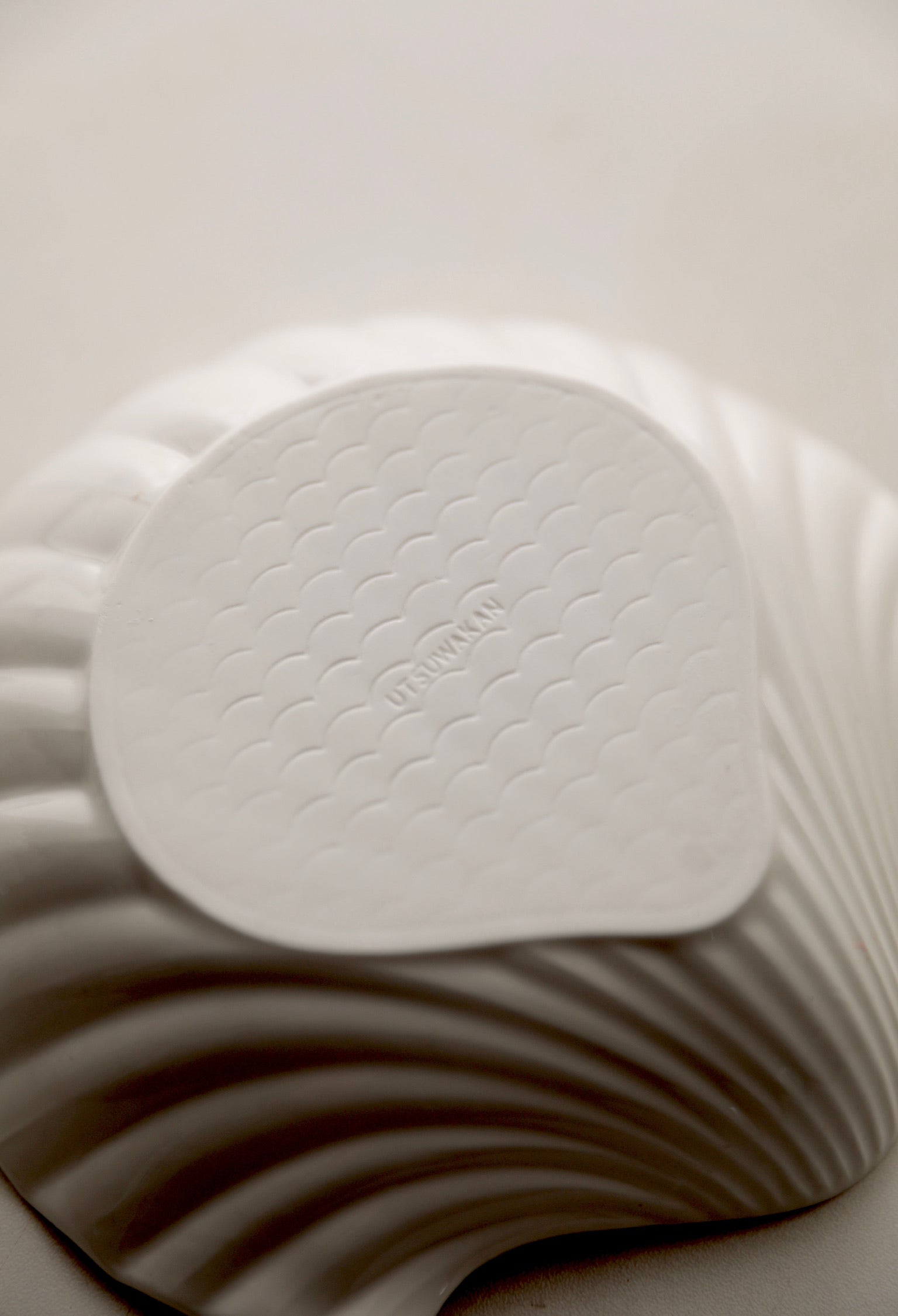 White Ceramic Shell Plate bottom