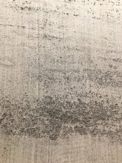 Fossil Ash Soft Stone Panel