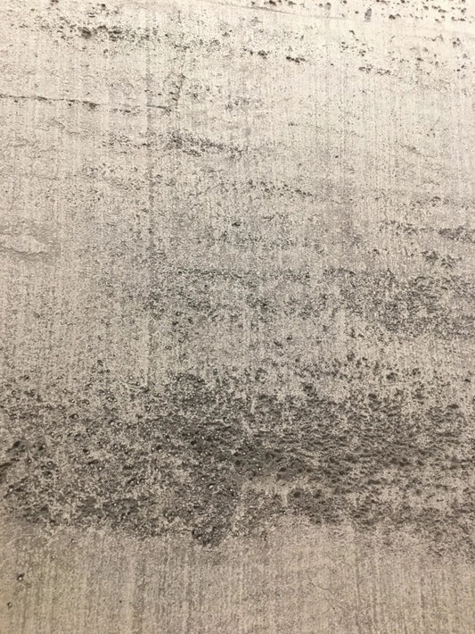 Fossil Ash Soft Stone Panel