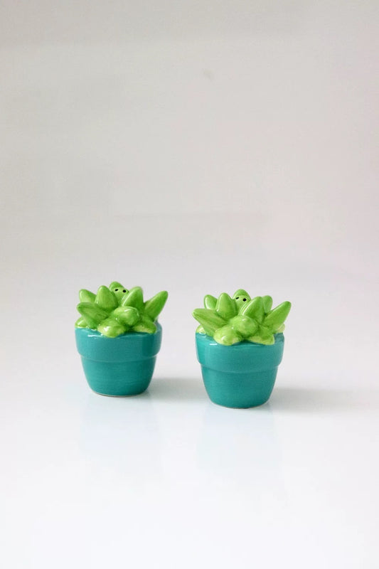 Succulent Garden Ceramic Salt and Pepper Shaker (Set of 4)