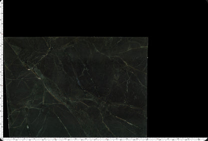 Forest Vein Marble