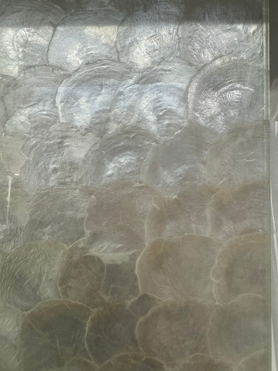 Pearlescent Tide Laminated Glass