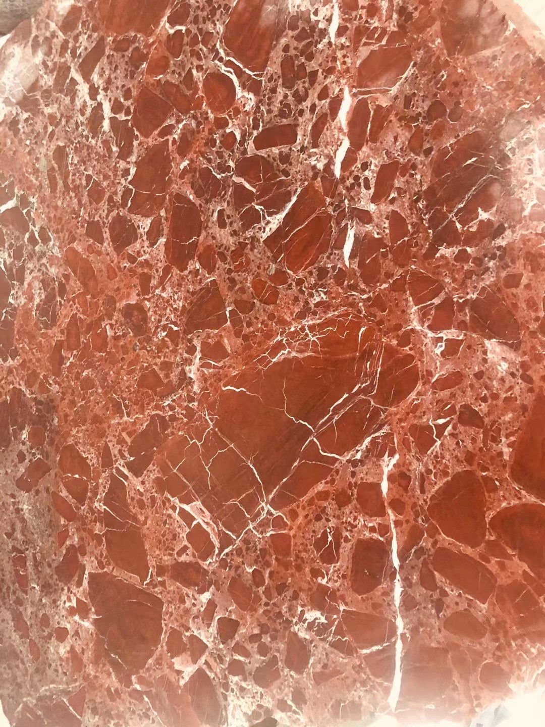 Carmine Fossil Marble