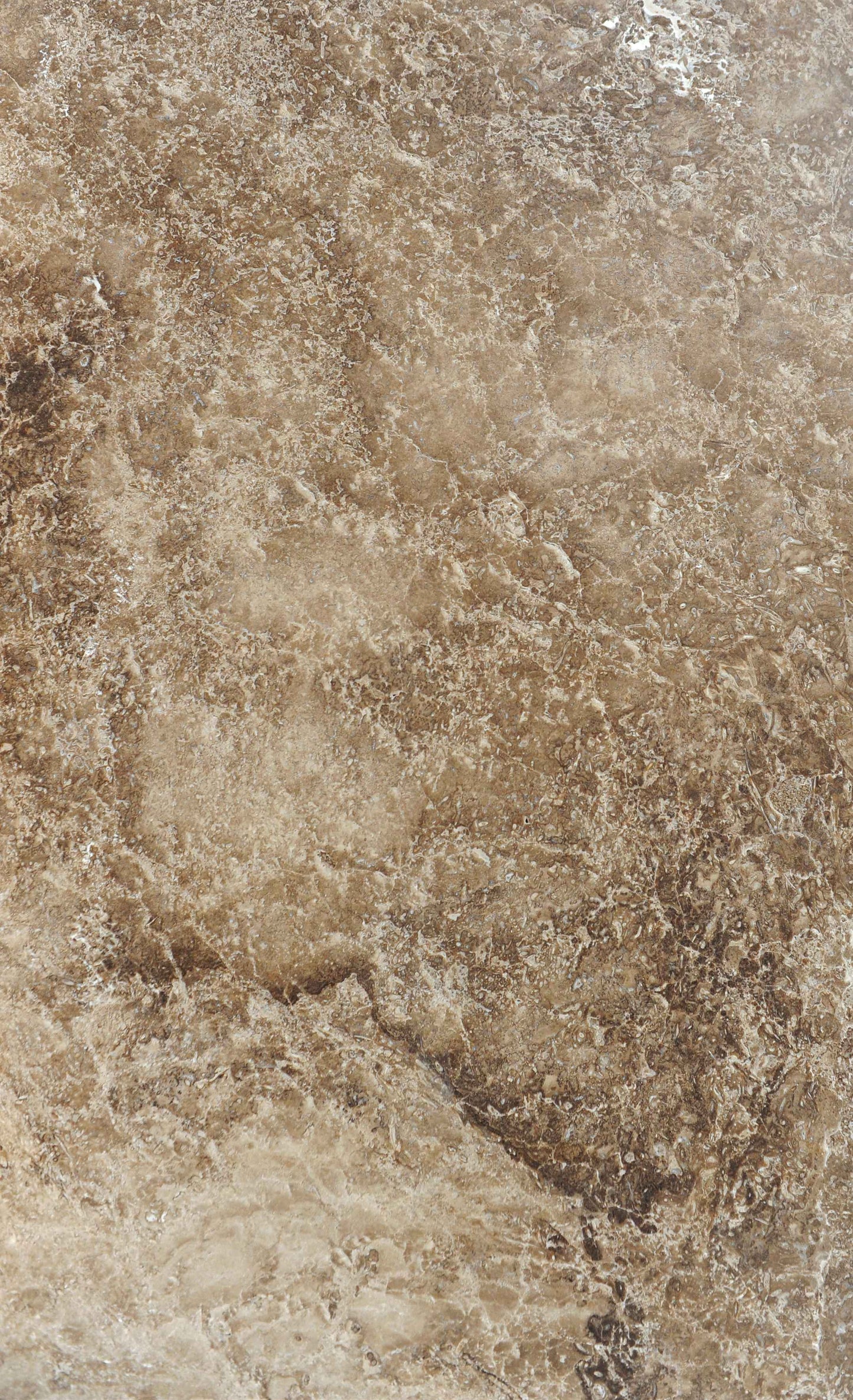 Caramel Fossil Marble