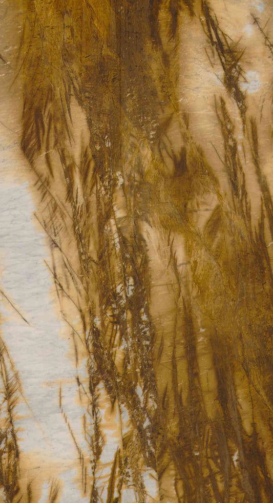 Fossil Fern Onyx