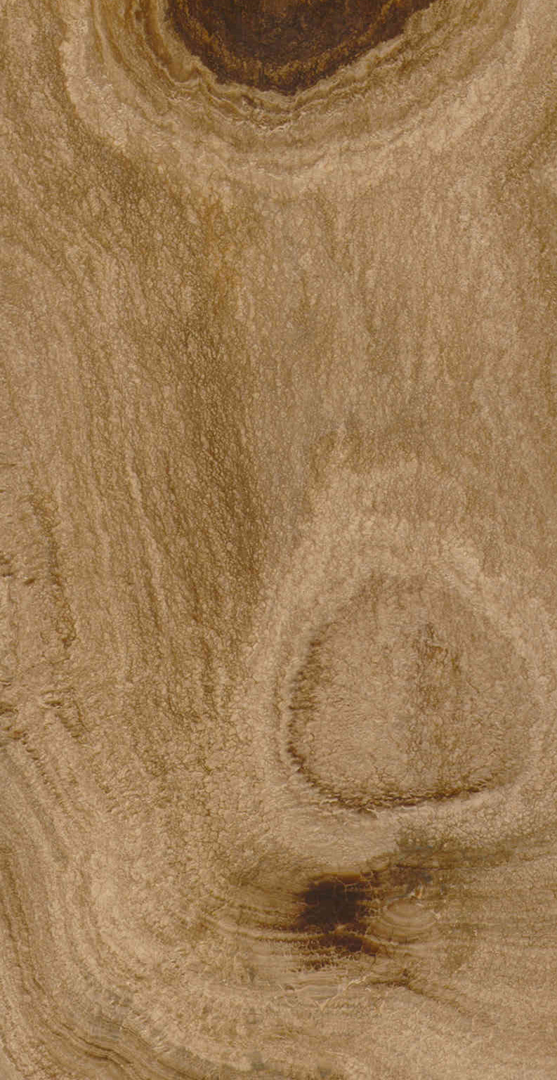 Desert Eye Onyx