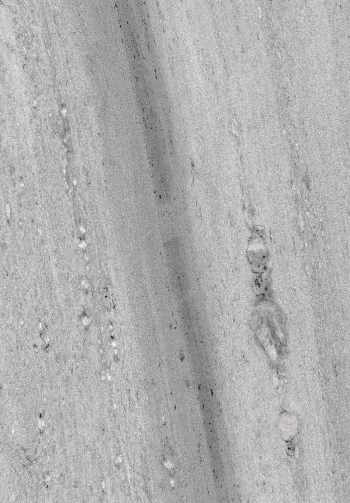 Fossil Drift Marble