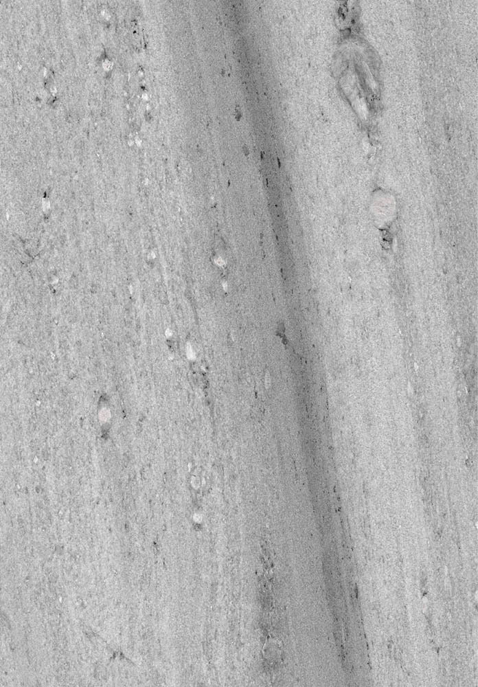 Fossil Drift Marble