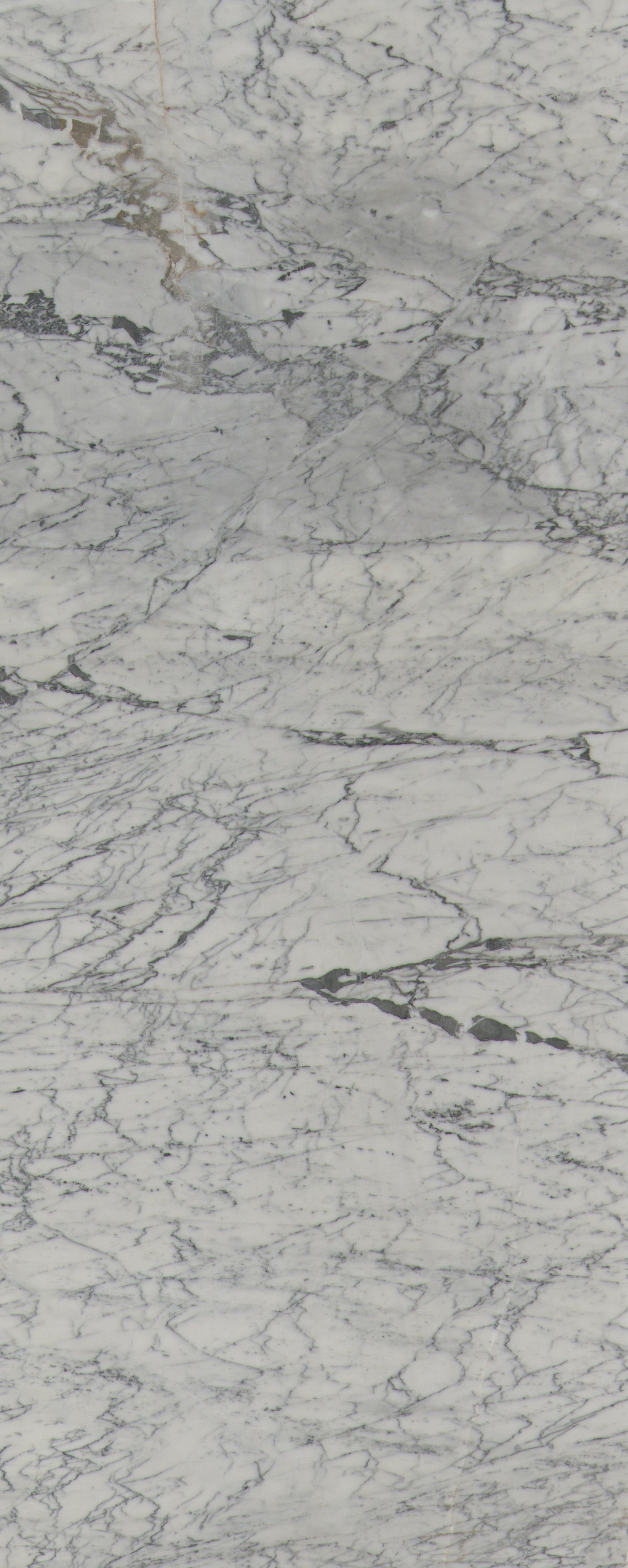 Carrara Vein Marble