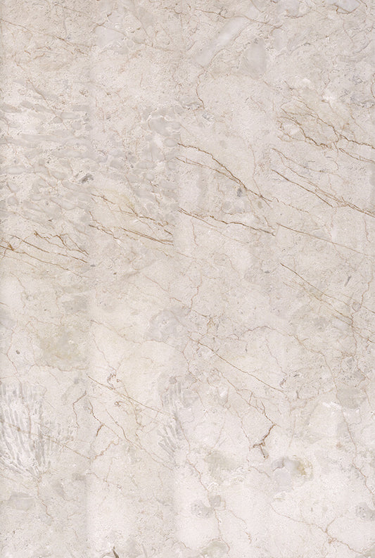 Fossil Vein Marble