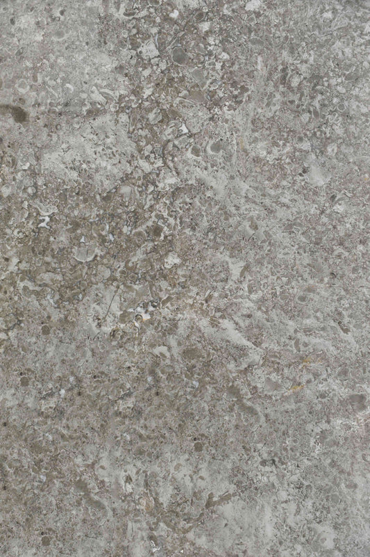 Fossil Mist Limestone