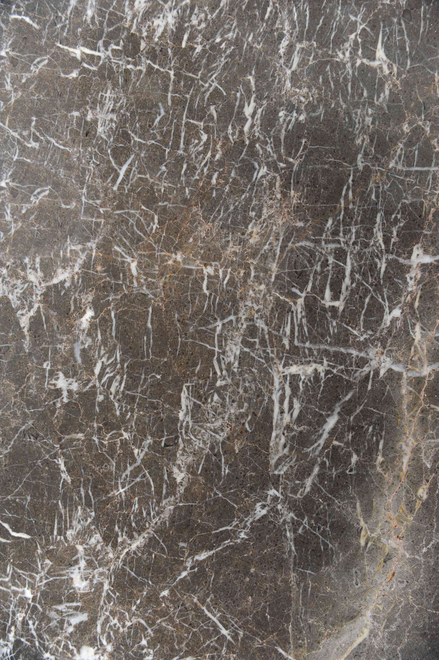 Stormroot Marble