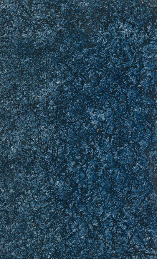 Midnight Bloom Granite
