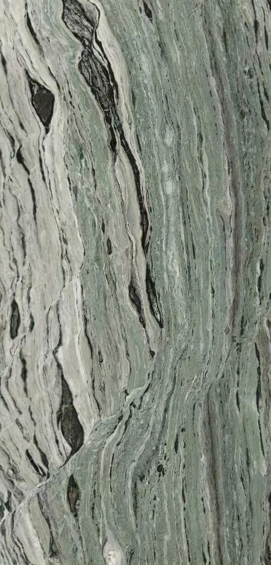 Whispering Canopy Marble