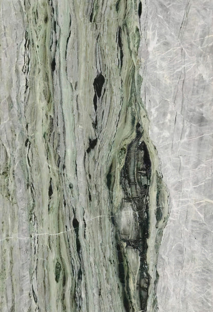 Veil of Canopy Marble
