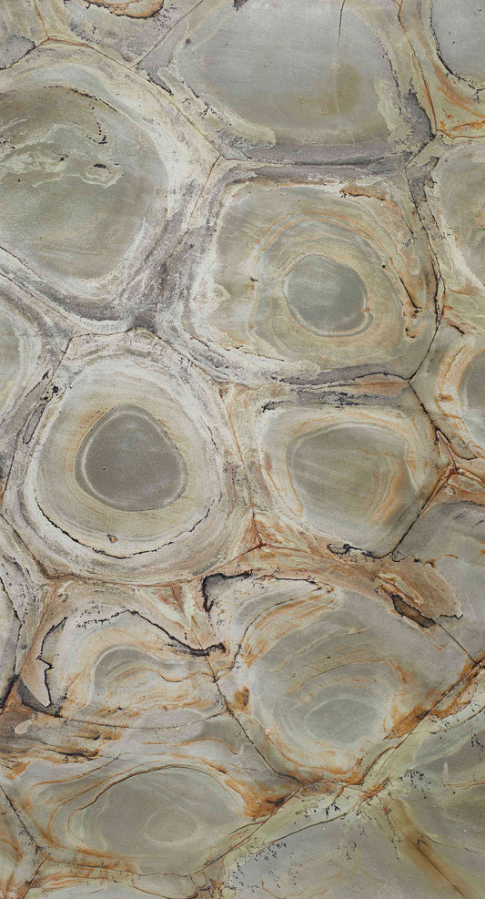 Moss Veil Quartzite