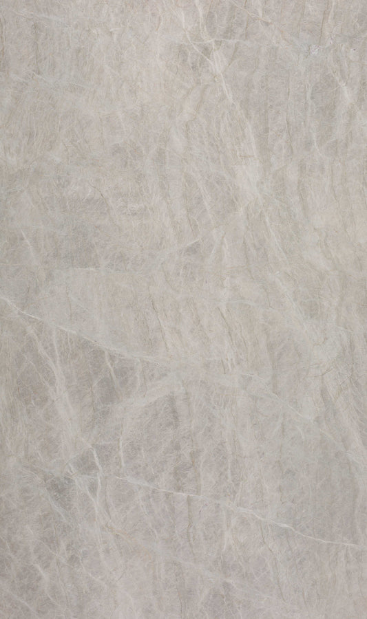 Tranquil Taupe Quartzite