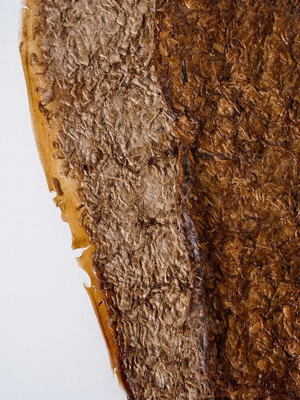 Mycelium Fiber Bio-Composite Sheet