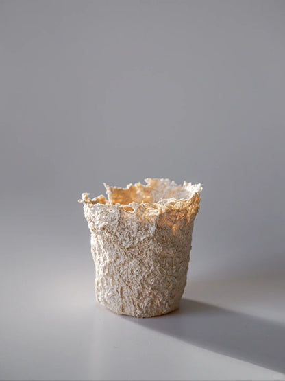 Mycelium Fiber Bio-Composite Sheet