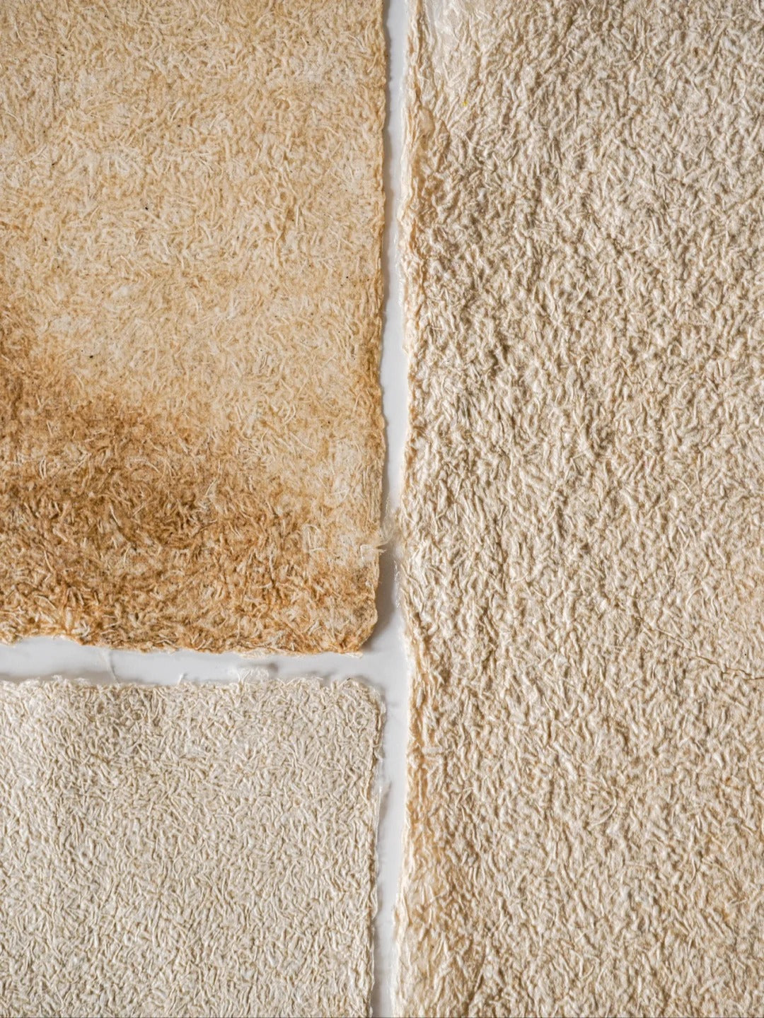 Mycelium Fiber Bio-Composite Sheet