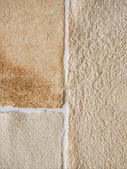 Mycelium Fiber Bio-Composite Sheet