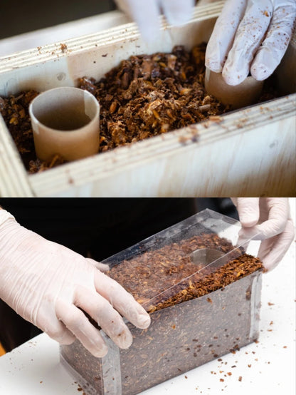 Mycelium Structural Brick – Temporary Shelter Module