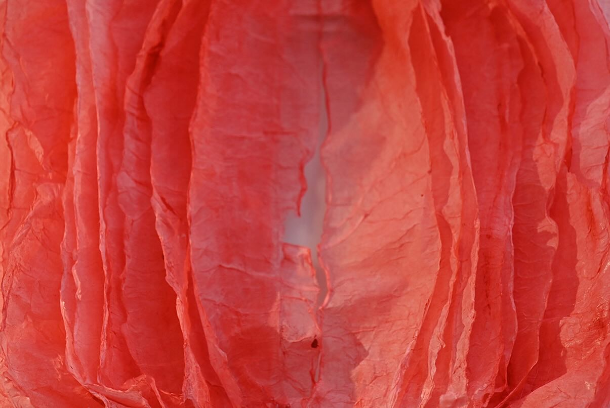 Paper Fiber Texture Panel