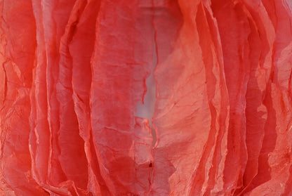 Paper Fiber Texture Panel