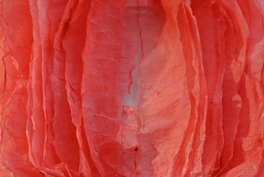 Paper Fiber Texture Panel