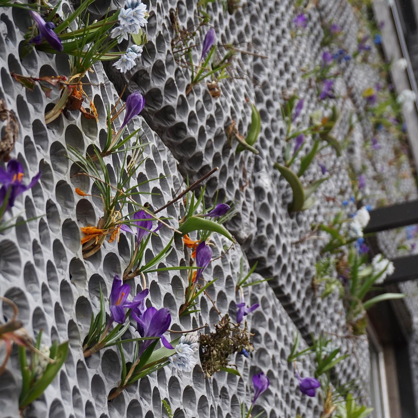 Oxygen Surface Panel