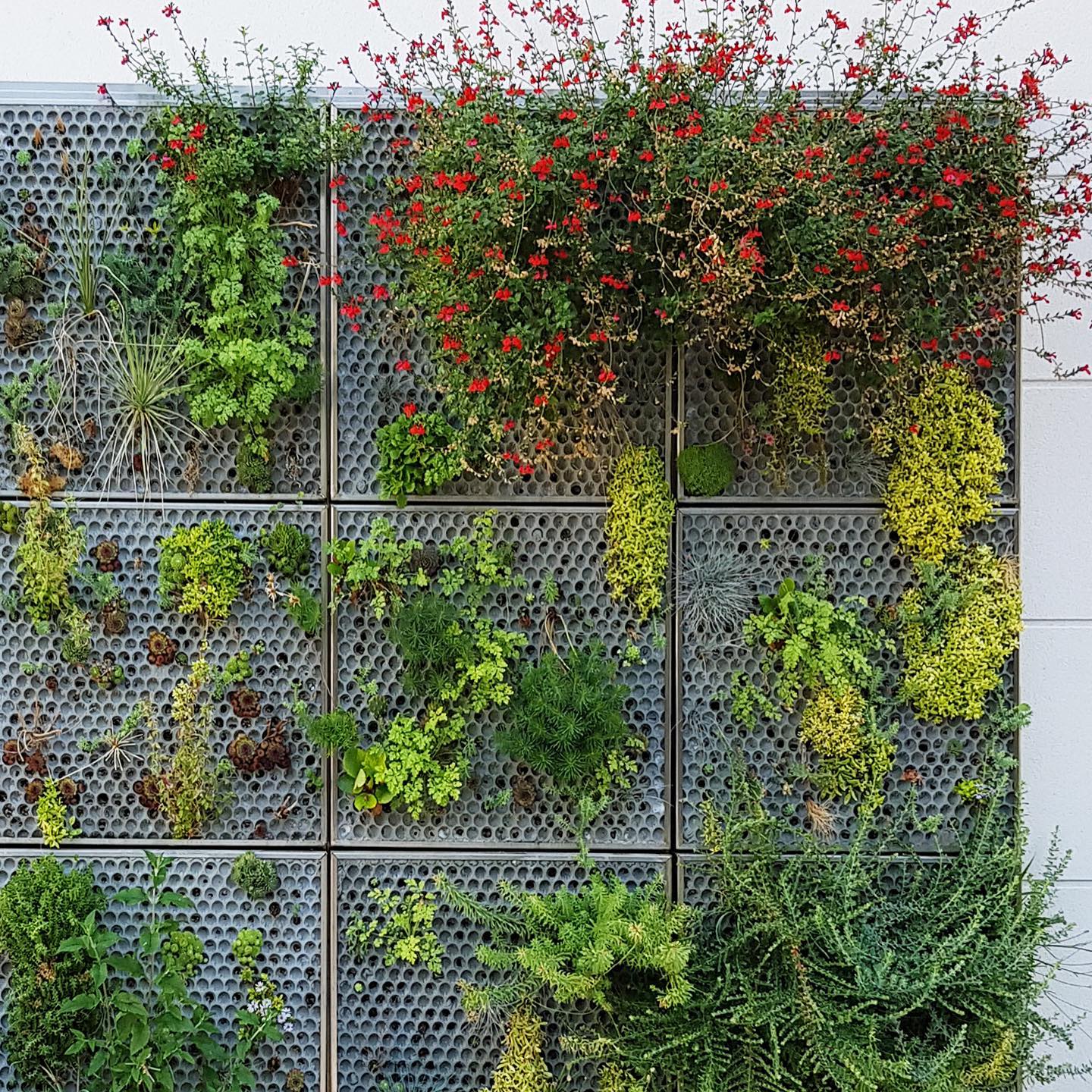 Oxygen Surface Panel