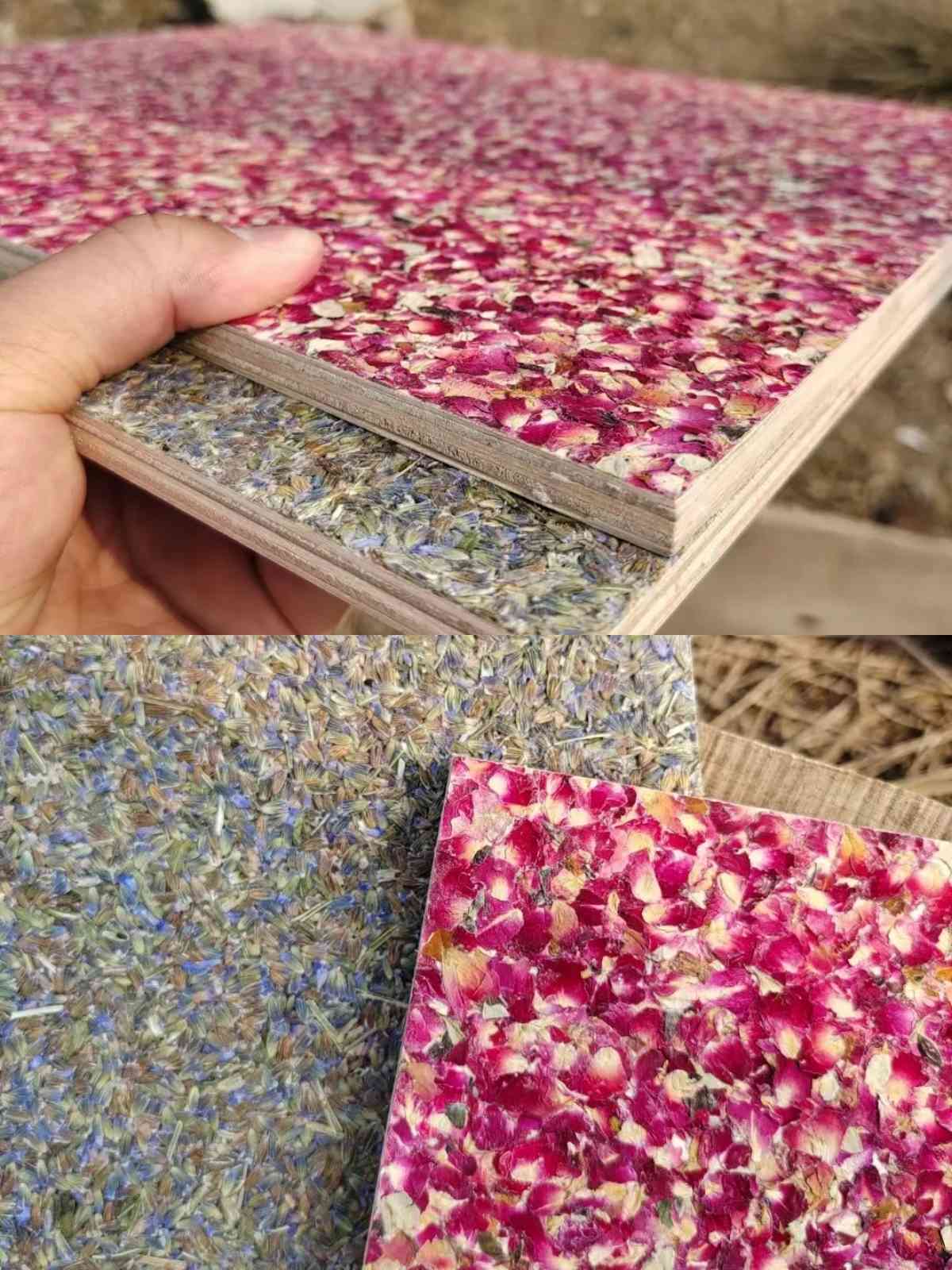 Rose Biomass Board