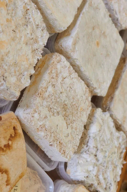 Mycelium Acoustic Biomass Board