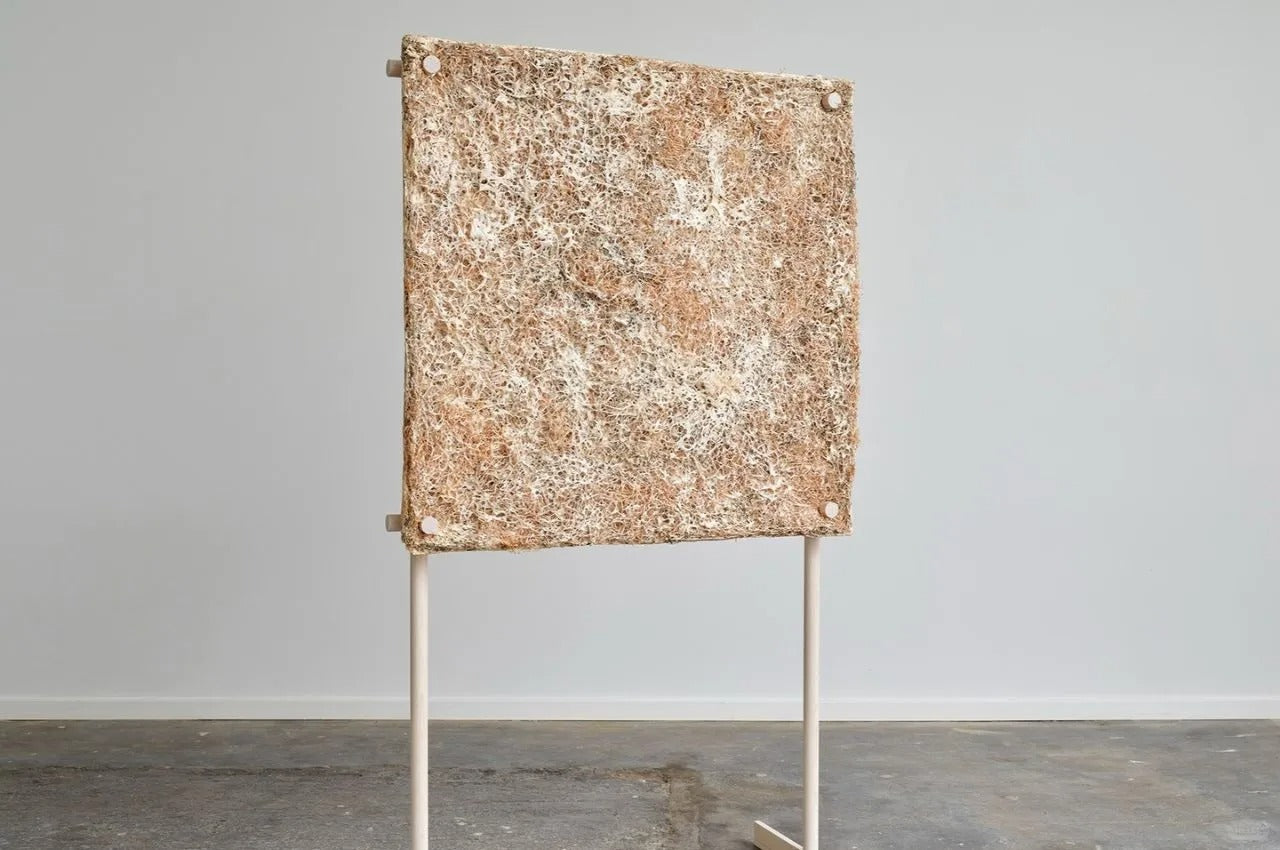 Mycelium Acoustic Biomass Board