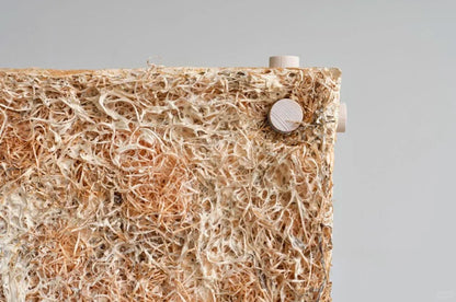 Mycelium Acoustic Biomass Board