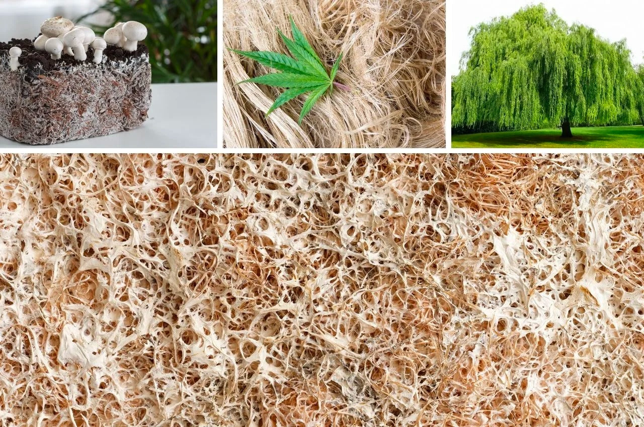 Mycelium Acoustic Biomass Board