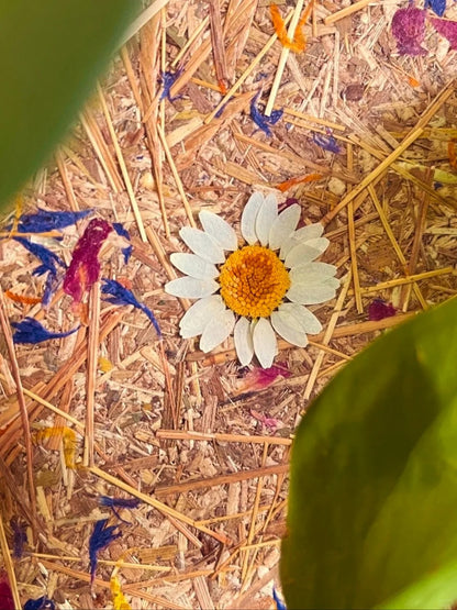 Biomass Decorative Board