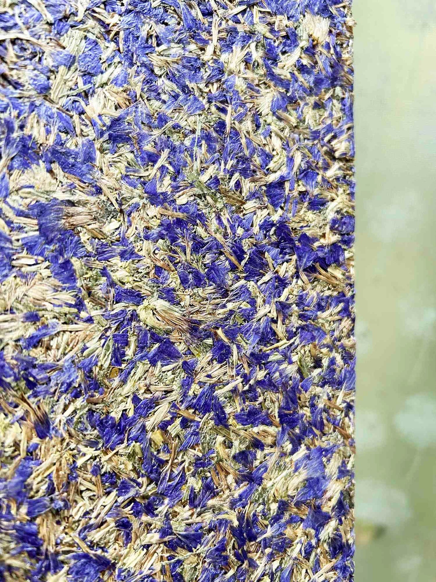 Blue-Purple Cornflower Biomass Board