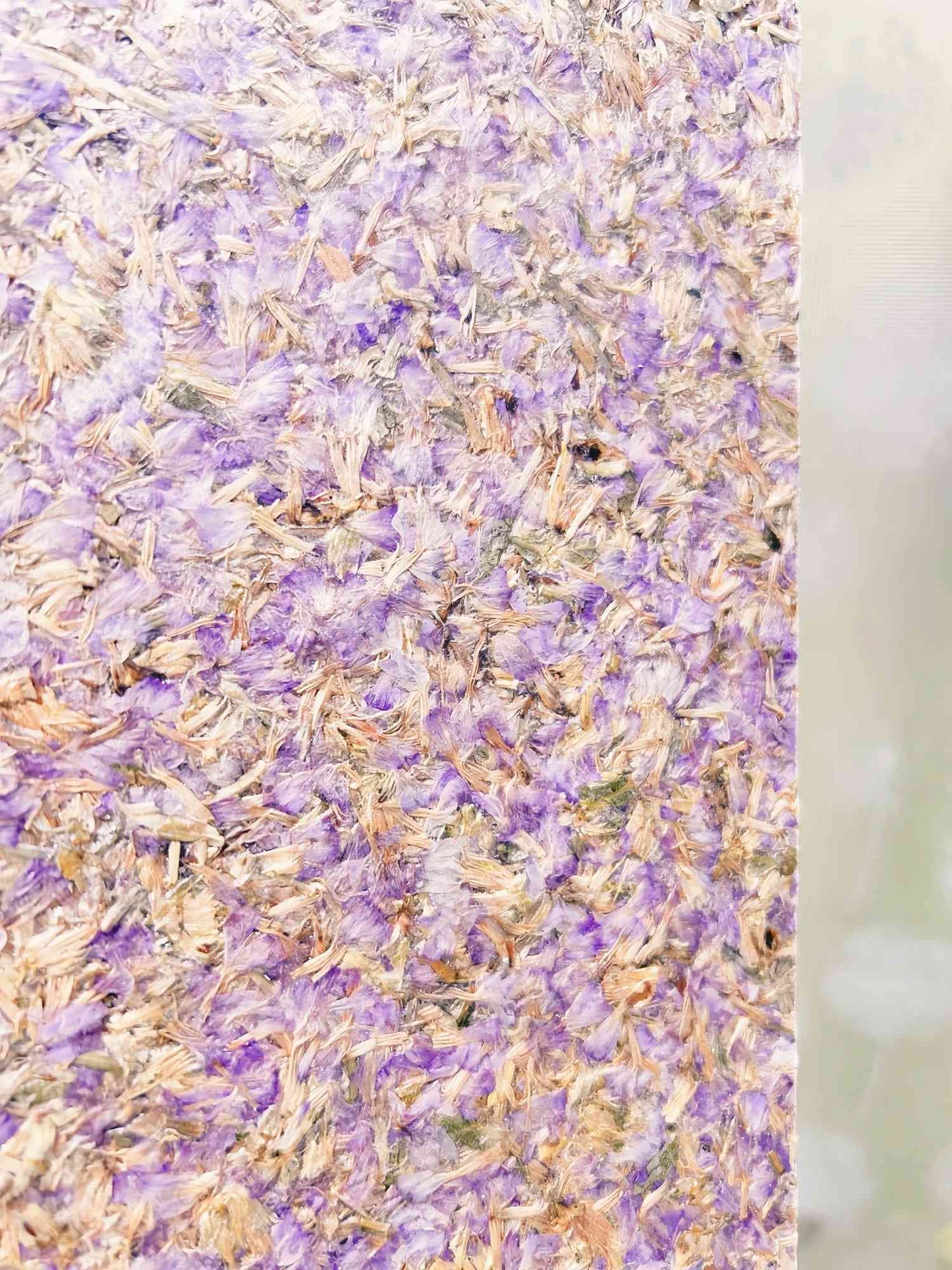 Purple Cornflower Biomass Board