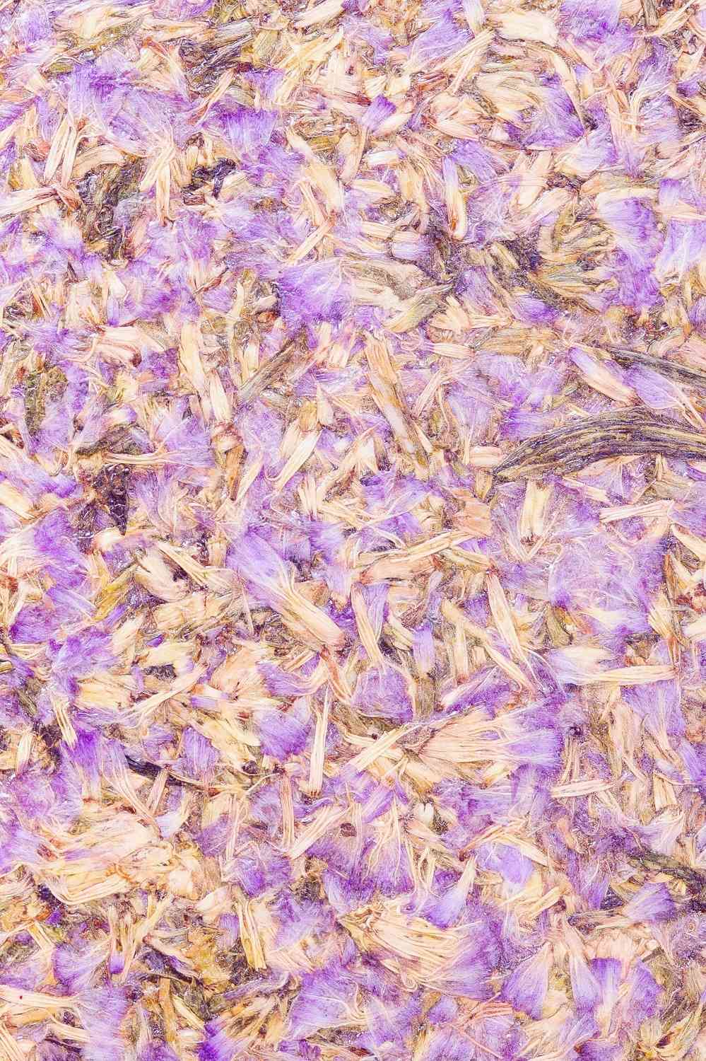Purple Cornflower Biomass Board