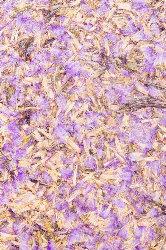 Purple Cornflower Biomass Board