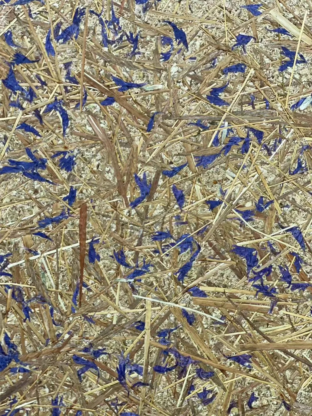 Purple Flower Biomass Board