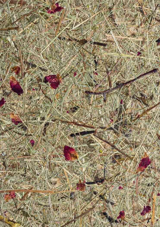 Alpine Grass & Rose Petal Botanical Biomass Board