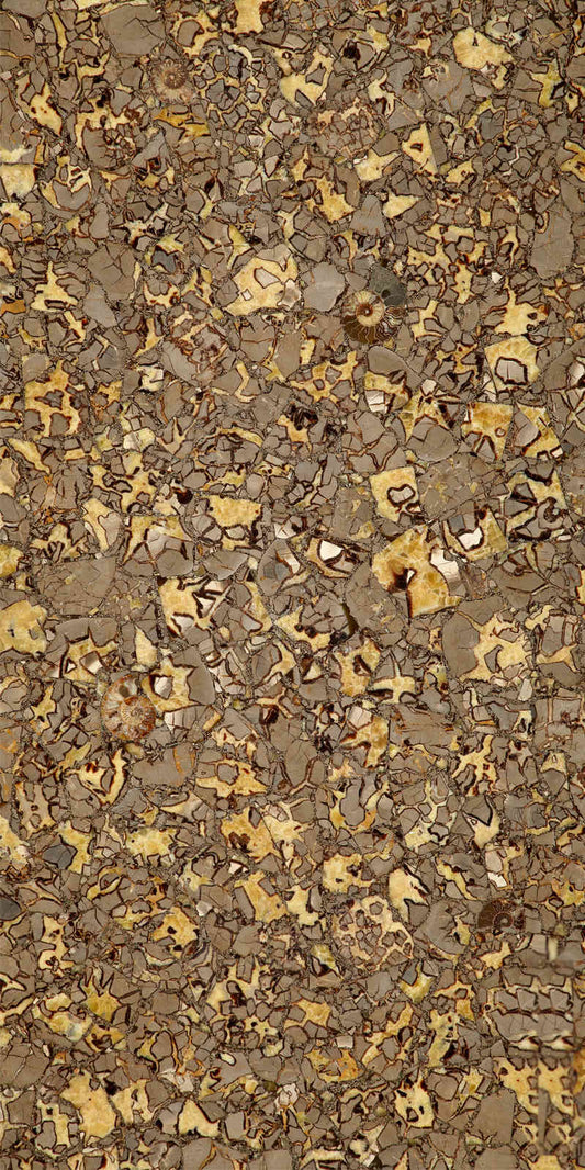 Septarium Gemstone Slab